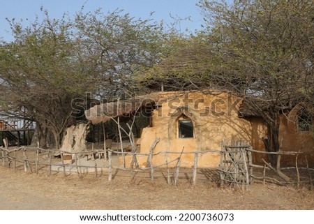 Clay architecture in Palmarin, Senegal, Africa. Lodge Les Collines De Niassam. Clay house, home in Lodge Les Collines De Niassam. African architecture, house. Senegal nature, landscape, scenery. Tree