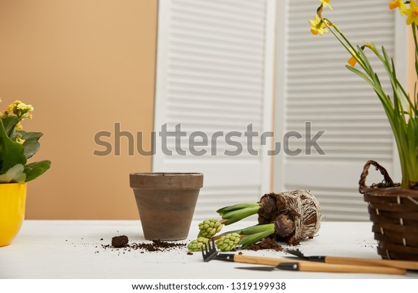 clay\
flowerpot with hyacinth in dirt on white table\
