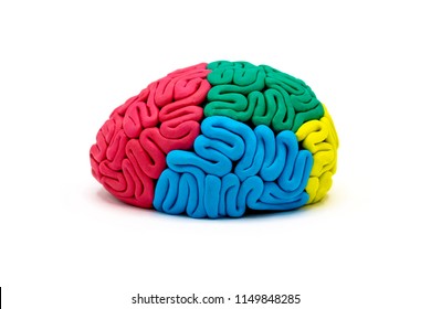 522 Brain Clay Images, Stock Photos & Vectors | Shutterstock