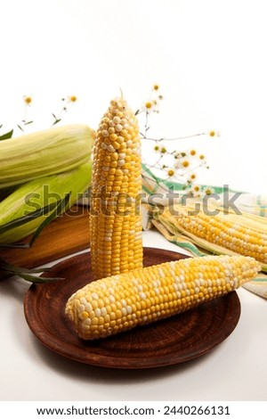 Clay plate with two ears of ripe sweet corn and green towel on vintage white wooden background. Cobs with white and yellow grains. Fresh ears of corn with green leaves on cutting board. 
