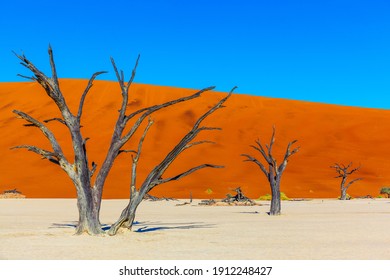 ナミビア High Res Stock Images Shutterstock