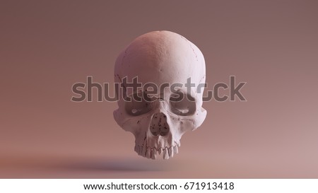 Clay Skull Front skull scan SCSU VizLab thingiverse scsuvizlab CC Attribution