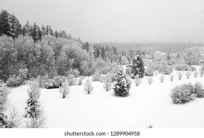 Cle Elum Washington State I-90