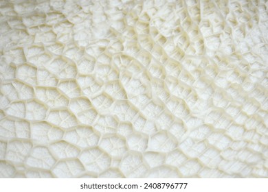 Clean beef tripe texture background. Cattle tripe texture. Cow raw stomach intestines texture for cooking