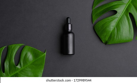 Clean Black Cosmetic Bottle And Monstera Leaves On Black Background. Luxury Essential Oil Packaging Template, Natural Organic Beauty Product For Hair Or Body Care. Flat Lay, Top View.