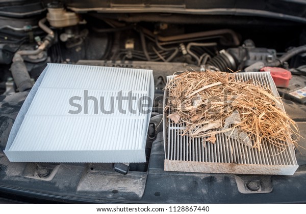 Clean and dirty cabin\
air filter for car