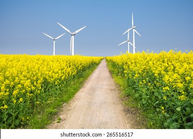 clean energy in the spring, beautiful rape flowers were yellowing the fields with wind farm - Powered by Shutterstock