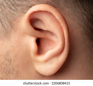 Clean Human Ear Close Up On Man Head