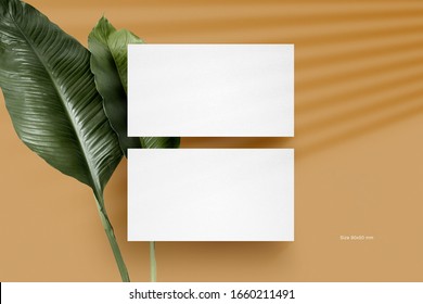 Clean Minimal Business Card Mockup Vol 3. Yellow Background With Green Leaf And Window Shadow.