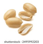 Clean peanut group isolated on white background. Package design element with clipping path