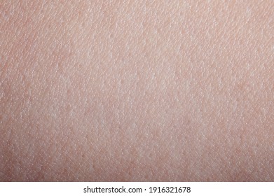 Clean pink skin texture surface macro close up view