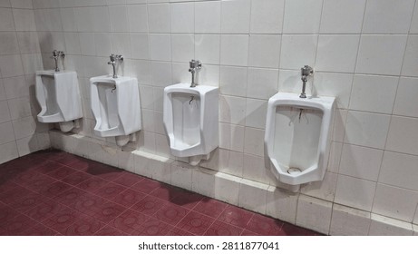 Clean public restroom with multiple wall-mounted ceramic urinals aligned in a tiled bathroom interior.