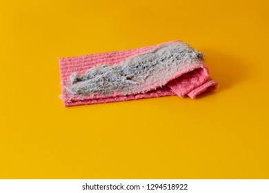 Clean Rag Dust Wipe Dust Stock Photo (Edit Now) 1286757721