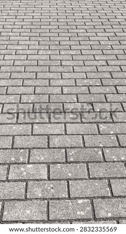 Clean and repeating pattern of interlocking paving bricks or stone setts, showcasing a neat urban pedestrian pathway or historic square texture.
