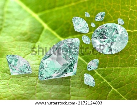 Clean Round Diamond on Green Leaf Background