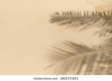 Clean sandy beach surface decorated with elegant palm leaf shadows creating a natural tropical frame. Perfect background for travel advertising, hotel promotions, vacation campaigns and summer-themed marketing materials.
