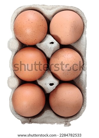 Clean and simple, this photo features a carton of six eggs with the background removed, making it easy to incorporate into any design project