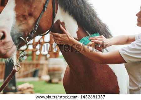 Clean skin. Happy woman with her horse on the ranch at daytime.