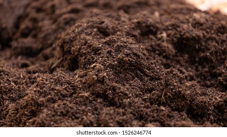 Clean soil for cultivation. The potting soil or peat is suitable for gardening and is one of the four natural elements. The land is life for our planet earth. Selective Focus. - Shutterstock ID 1526246774