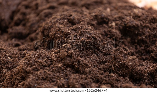 Clean soil for\
cultivation. The potting soil or peat is suitable for gardening and\
is one of the four natural elements. The land is life for our\
planet earth. Selective\
Focus.