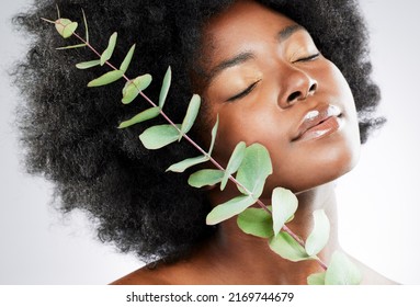 The Cleaner The Beauty Product, The Cleaner Your Skin. Studio Shot Of An Attractive Young Woman Posing With A Plant Against A Grey Background.