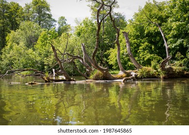 The Cleanest River In Poland - Krutynia, Polish Masuria Lake District, Nature Reserve.