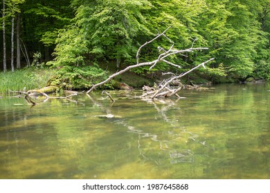 The Cleanest River In Poland - Krutynia, Polish Masuria Lake District, Nature Reserve.