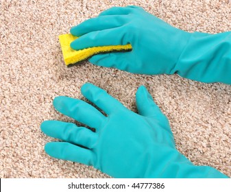 Cleaning Carpet With Sponge And Gloves