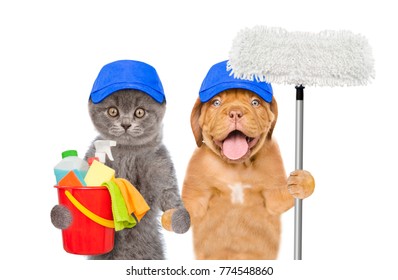 Cleaning concept. Cat and dog in blue hats holds bucket with washing fluids and mop in paw. isolated on white background