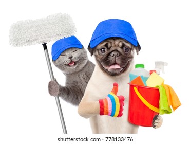 Cleaning concept. Cat and dog in blue hats holds bucket with washing fluids and mop in paw and showing thumbs up. isolated on white background