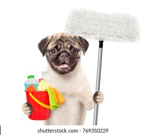 Cleaning Concept. Dog Holds Bucket With Washing Fluids And Mop In Paws. Isolated On White Background