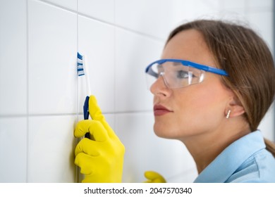 Cleaning Dirty Tile Grout In Bathroom Using Toothbrush