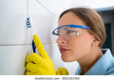 Cleaning Dirty Tile Grout In Bathroom Using Toothbrush
