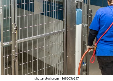 Cleaning The Dog Crates, Cat Beds And Concrete Floors With An Orange Pressure Hose By A Lady Worker Wearing A Blue Uniform Inside An Animal Pet Shelter For No Kill Adoptable And Foster Fur Babies.