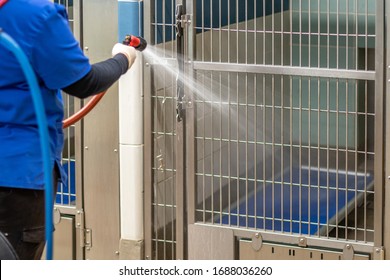 Cleaning The Dog Crates, Cat Beds And Concrete Floors With An Orange Pressure Hose By A Lady Worker Wearing A Blue Uniform Inside An Animal Pet Shelter For No Kill Adoptable And Foster Fur Babies.