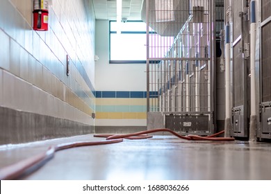 Cleaning The Dog Crates, Cat Beds And Concrete Floors With An Orange Pressure Hose By A Lady Worker Wearing A Blue Uniform Inside An Animal Pet Shelter For No Kill Adoptable And Foster Fur Babies.