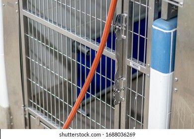 Cleaning The Dog Crates, Cat Beds And Concrete Floors With An Orange Pressure Hose By A Lady Worker Wearing A Blue Uniform Inside An Animal Pet Shelter For No Kill Adoptable And Foster Fur Babies.