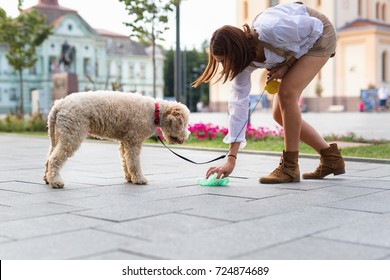 cleaning dogs excrement on street