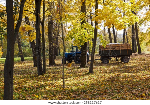  cleaning in the fallen-down fall of\
foliage.  foliage is loaded into a\
tractor
