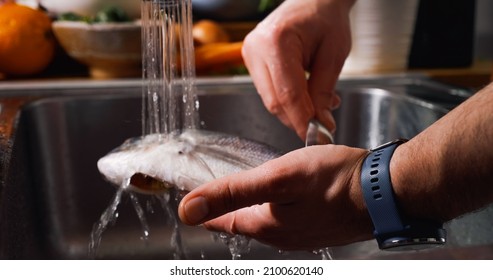 Cleaning Fish on Water Jet Before Cooking. Gilt-head bream fish.