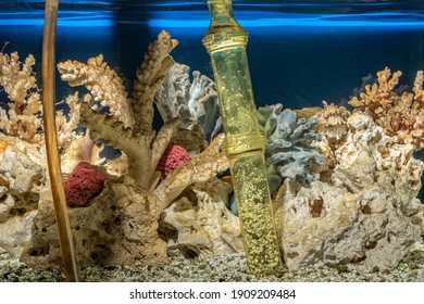 Cleaning Of Gravel In A Freshwater Fish Tank.