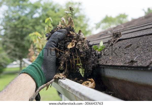 Cleaning gutters during\
the summer time. 