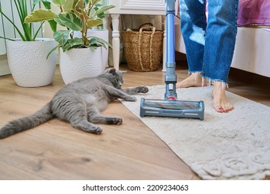 Cleaning House With Vacuum Cleaner, Female With Pet Cat