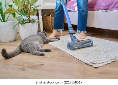 Cleaning House With Vacuum Cleaner, Female With Pet Cat