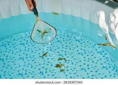 Cleaning inflatable pool with net, scooping leaves from blue water in summer sunlight. Concept of pool care, home maintenance and outdoor leisure.
