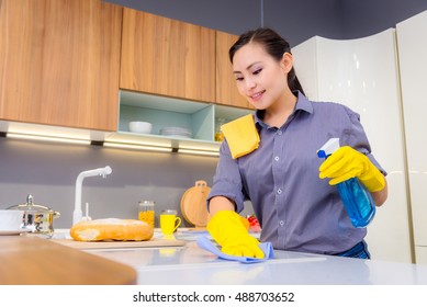 12,118 Asian Cleaning Services Images, Stock Photos & Vectors