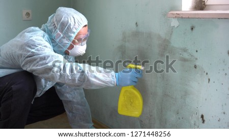 Cleaning up mold. A Man Cleaning Mold From Wall Using Spray Bottle And Sponge