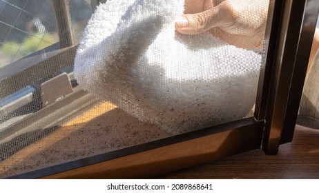 Cleaning The Mold On The Screen Door.