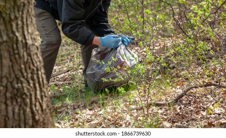 Cleaning Nature From Garbage. Environmentalist In Blue Rubber Gloves Ties A Black Plastic Bag With Trash In The Forest

