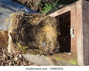 cleaning of a nesting box 
